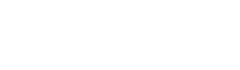 Amizus Miền Nam