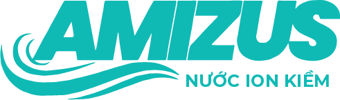 Amizus Miền Nam